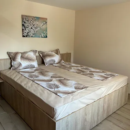 бадови * Hisarya