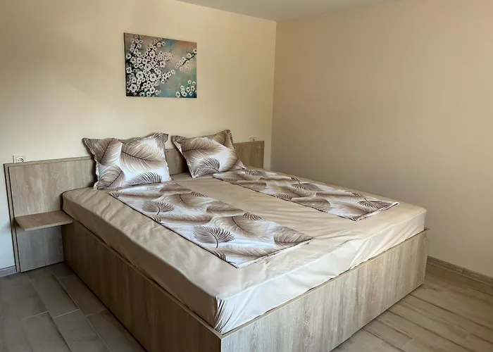 бадови * Hisarya